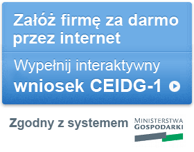 Interaktywny formularz vat 7k