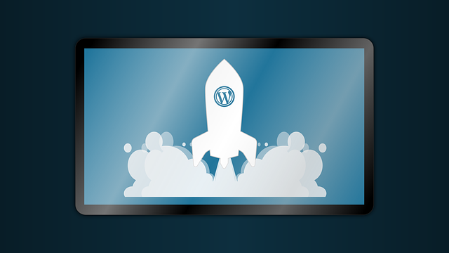 wtyczki do Wordpress
