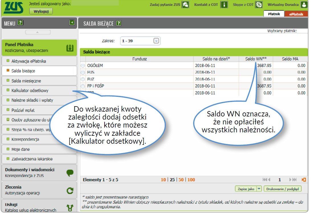 widok PUE ZUS z saldem zaległości