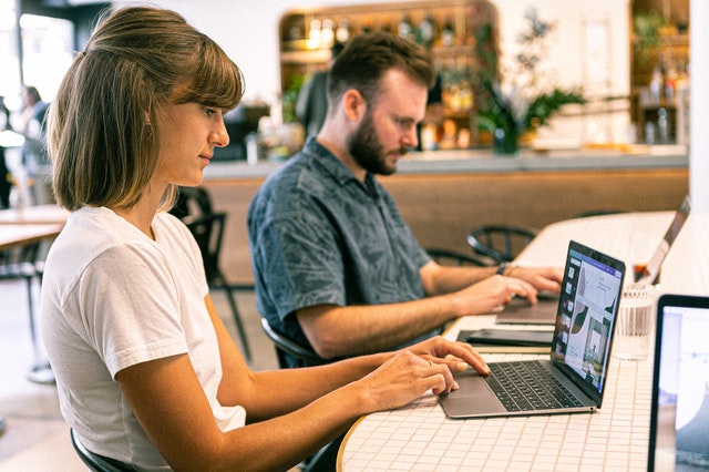 web designer zarobki