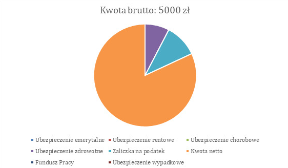 zarobki webdesigner na działalności