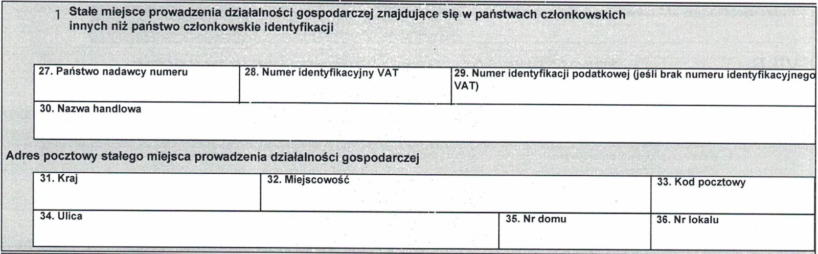 pasted image 0 (6)