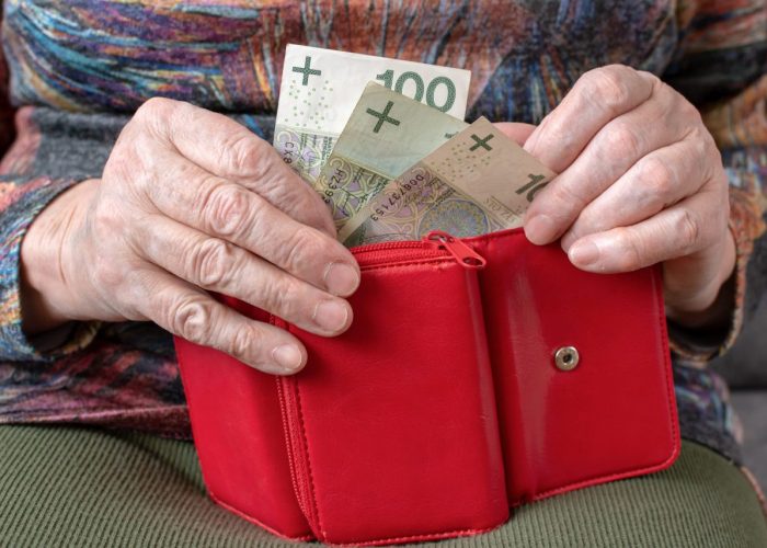 emeryt a działalność gospodarcza