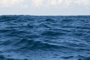 strategia błękitnego oceanu
