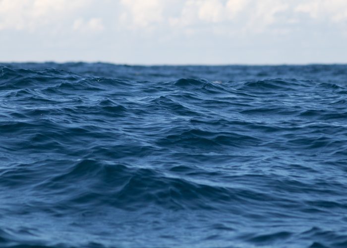 strategia błękitnego oceanu