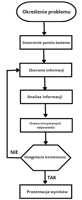 schemat metody delfickiej