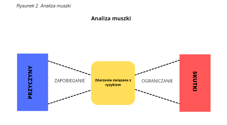 analiza ryzyka metodą muszki