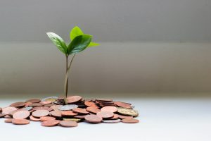zwolnienie z obowiązku zapłaty podatku