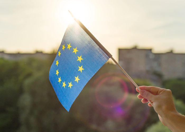 Niebieska Karta UE
