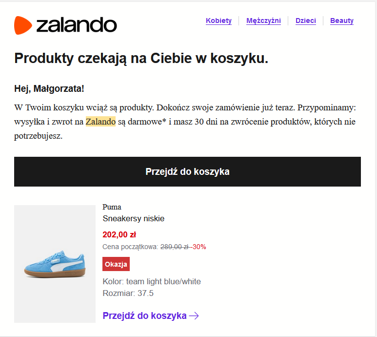 Wtyczki WooCommerce do mailingu