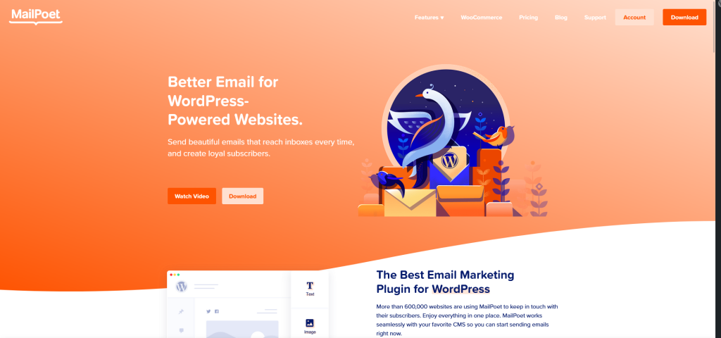wtyczki woocommerce do mailingu