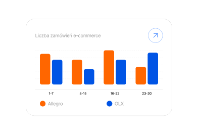 raport e-commerce