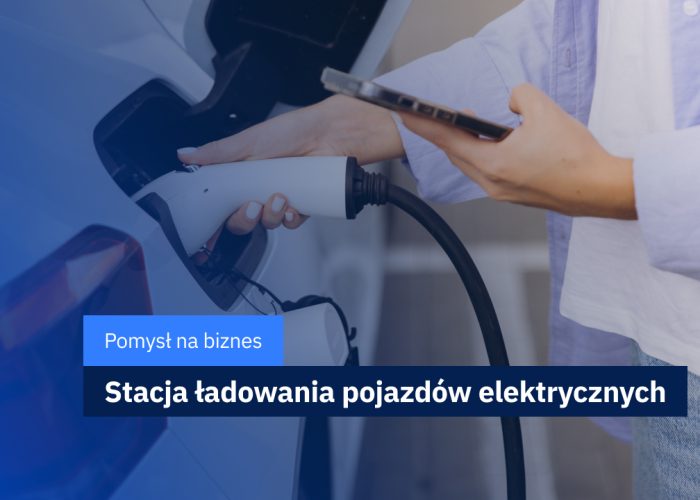 pomysł na biznes stacja ładowania