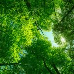 opłata środowiskowa 2026