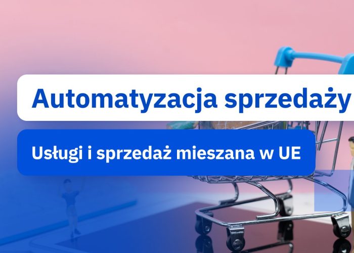 e-commerce usługi i sprzedaż mieszana